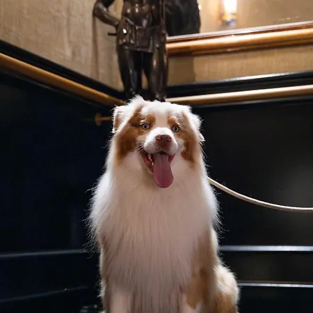 Western De Dieppe 1880 Ξενοδοχείο 4*