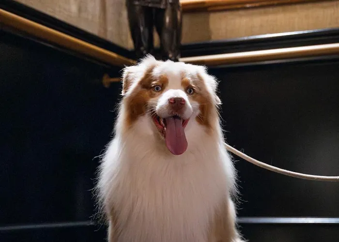 Western De Dieppe 1880 Hotel 4*